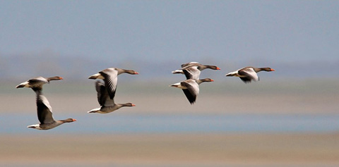 Adapter son management à l&rsquo;énergie de ses&nbsp;équipes