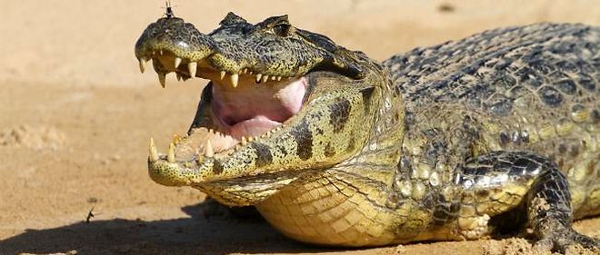 Cadrer : et la bienveillance&nbsp;?