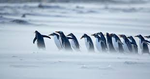 Manager, leader ou coach&nbsp;?